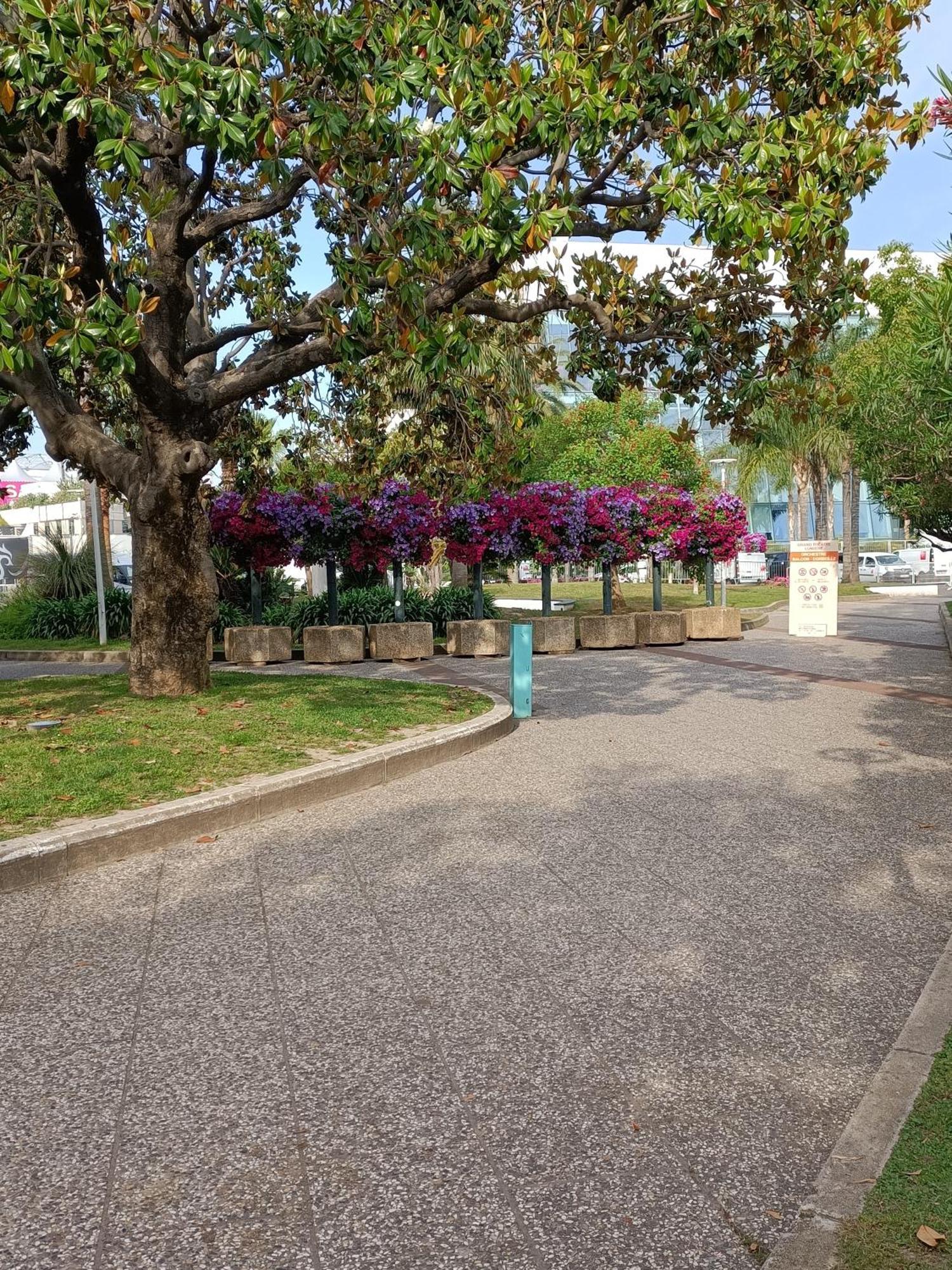 Ferienwohnung Gallieni Cannes Exterior foto